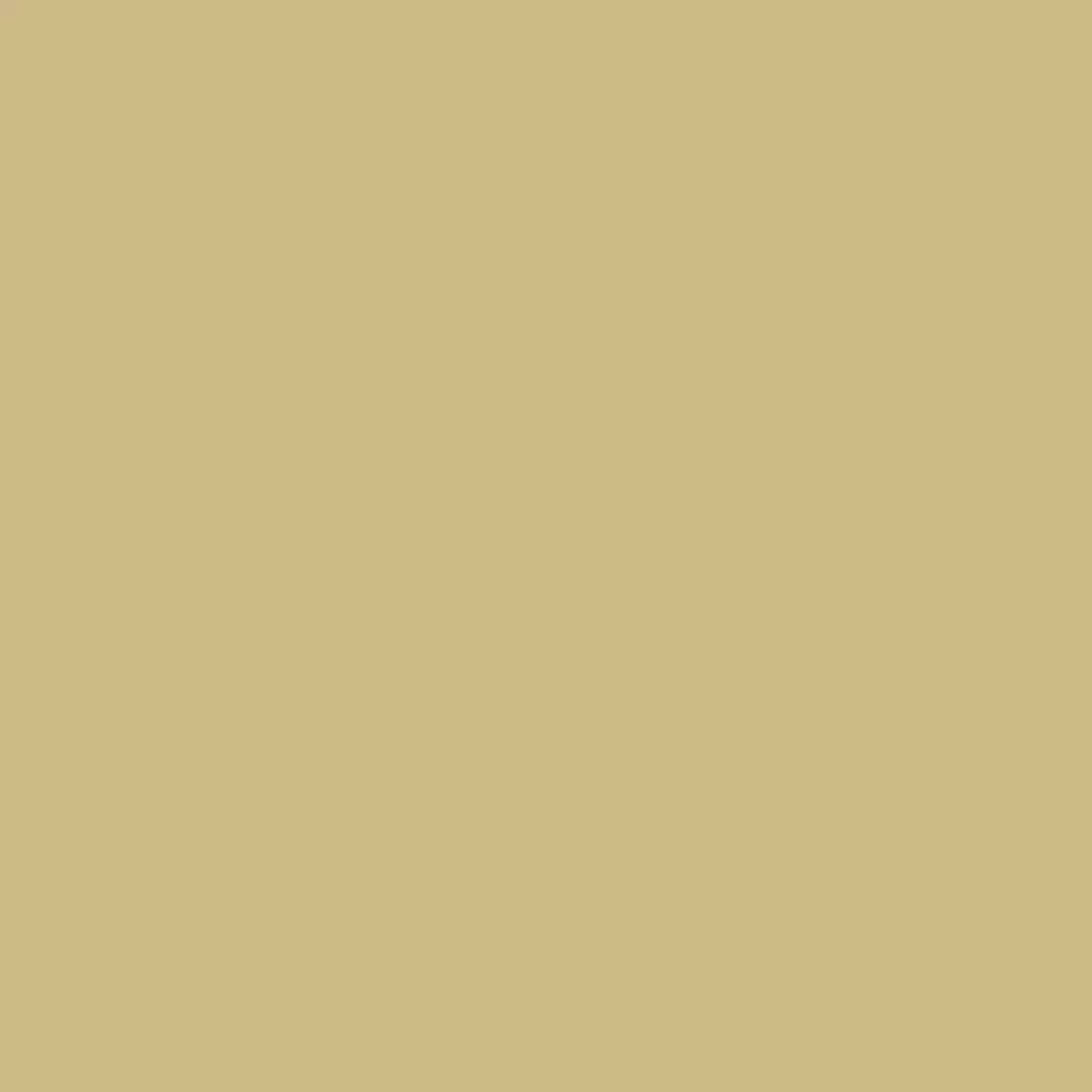 RAL 1000 Beige vert portes-dentree couleurs-des-portes couleurs-ral ral-1000-beige-vert texture