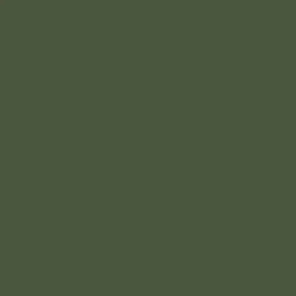 RAL 6003 Vert olive portes-dentree couleurs-des-portes couleurs-ral ral-6003-vert-olive texture