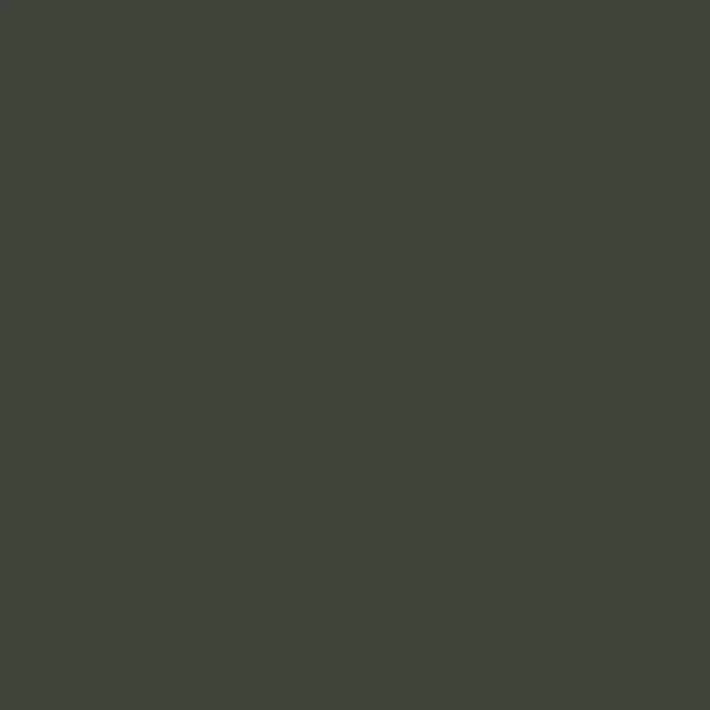 RAL 6006 Olive gris portes-dentree couleurs-des-portes couleurs-ral ral-6006-olive-gris texture