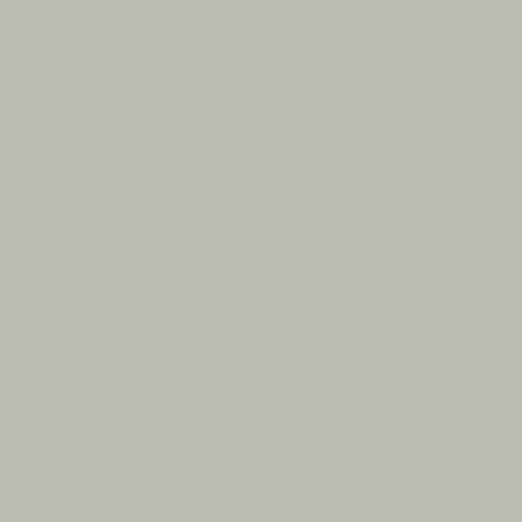 RAL 7044 Gris soie portes-dentree couleurs-des-portes couleurs-ral ral-7044-gris-soie texture