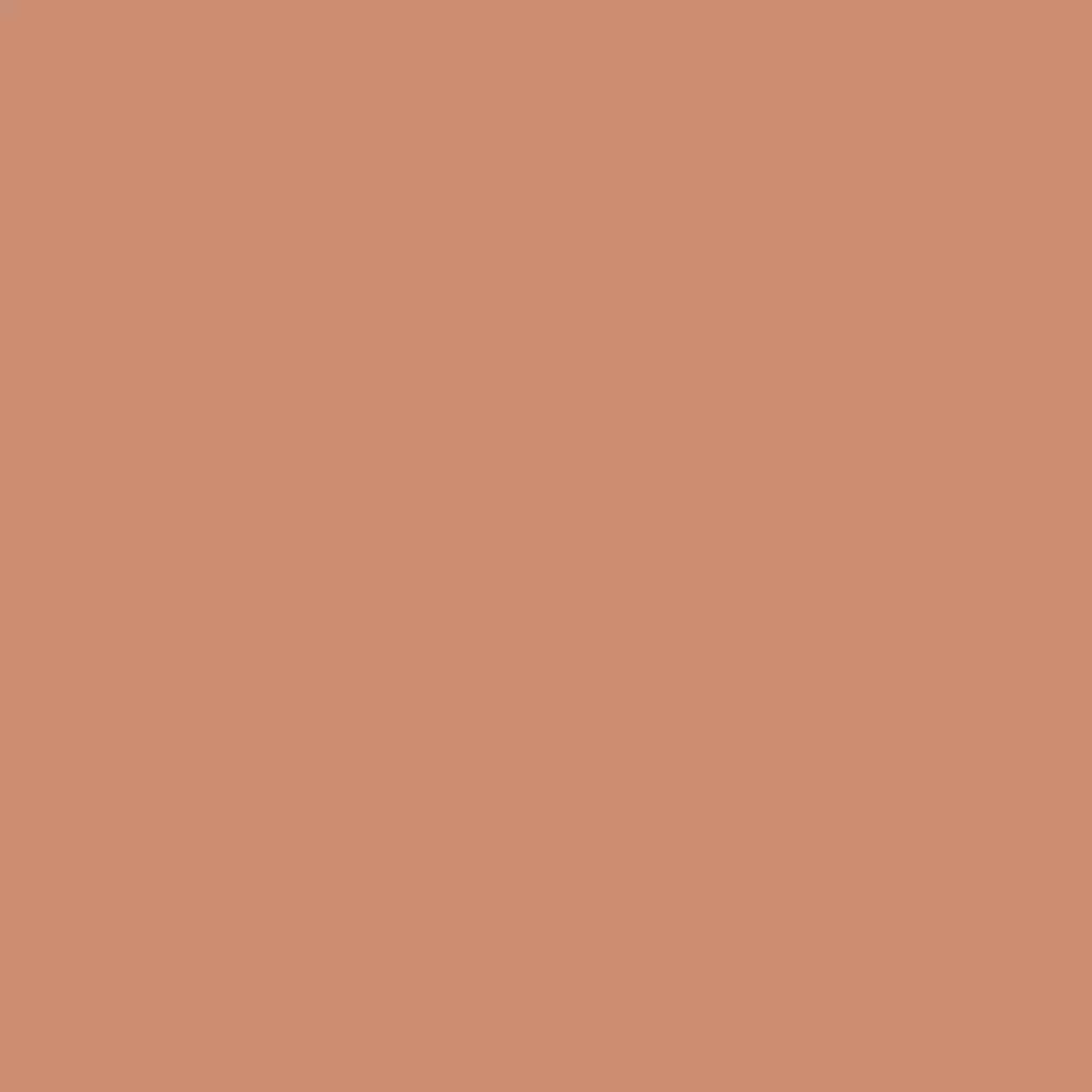 RAL 3012 Rouge beige portes-dentree couleurs-des-portes couleurs-ral ral-3012-rouge-beige texture