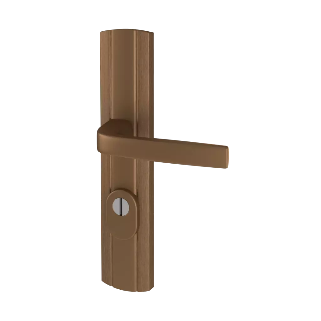 Vieil or portes-dentree accessoires-de-porte poignees classe-c-prestige-avec-protection interior