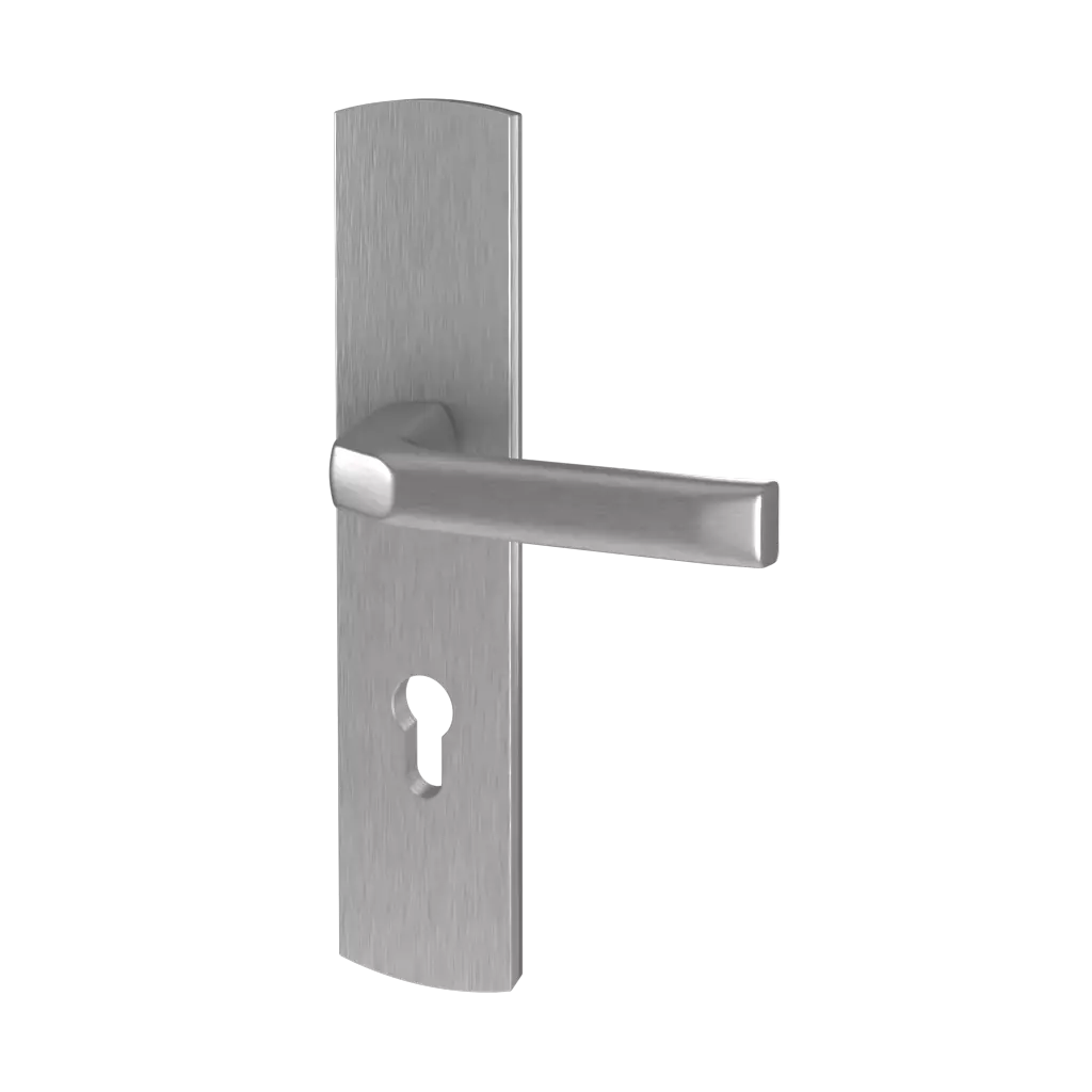 Inox portes-dentree accessoires-de-porte poignees prime 